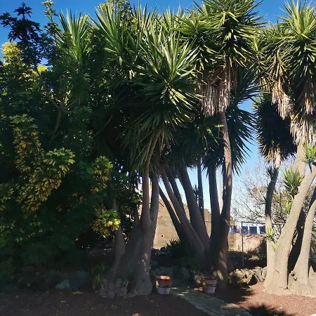 Casa de Férias La Rosa Vieja